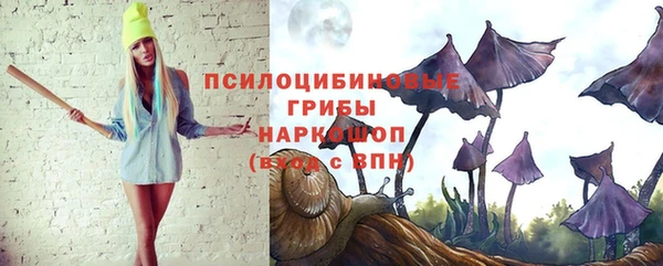 соль ск Володарск