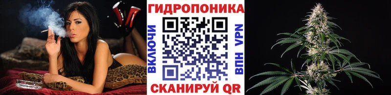 блэк спрут как войти  закладки  Отрадная  МАРИХУАНА SATIVA & INDICA 